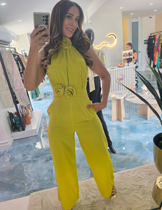 Emerald Glow Jumpsuit